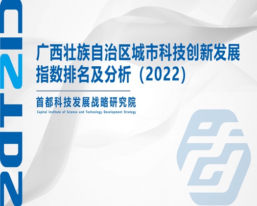 免费看黄色草逼视频【成果发布】广西壮族自治区城市科技创新发展指数排名及分析（2022）